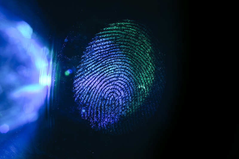 fingerprint examiner latent prints